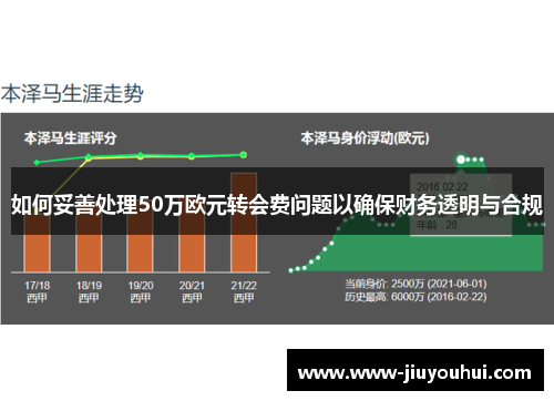 如何妥善处理50万欧元转会费问题以确保财务透明与合规